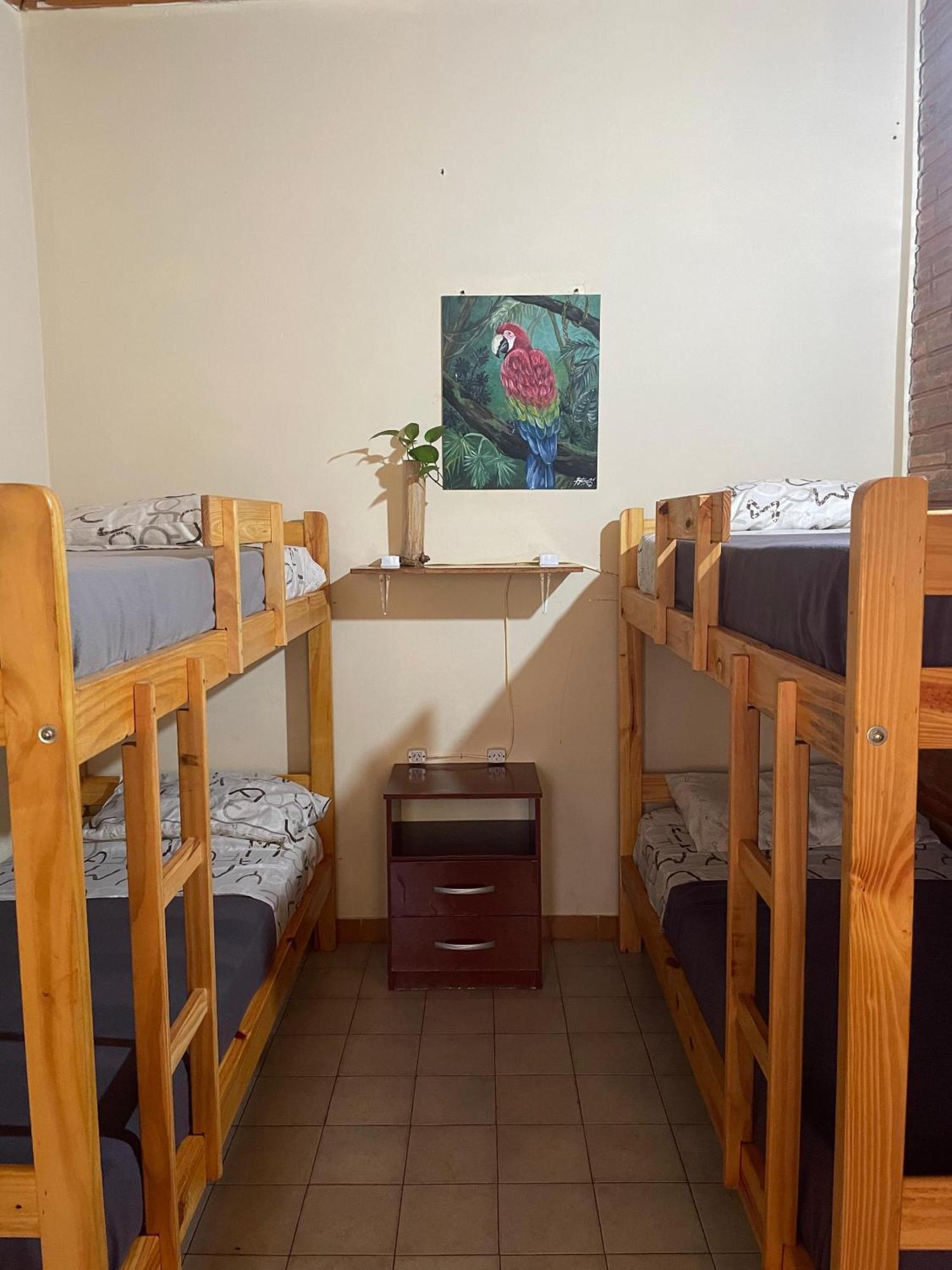 Bungalow Hostel Iguazu Puerto Iguazú Extérieur photo