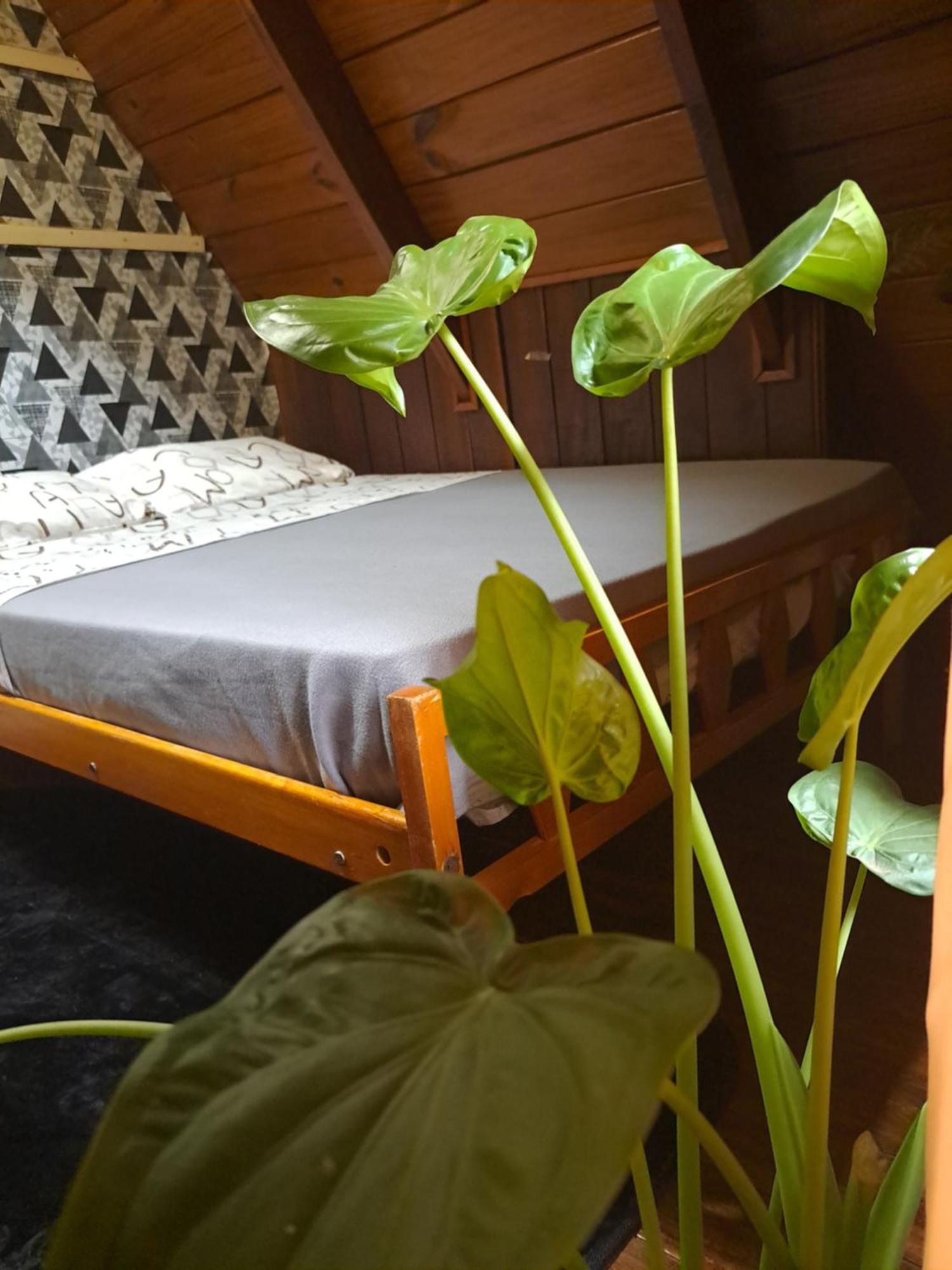 Bungalow Hostel Iguazu Puerto Iguazú Extérieur photo